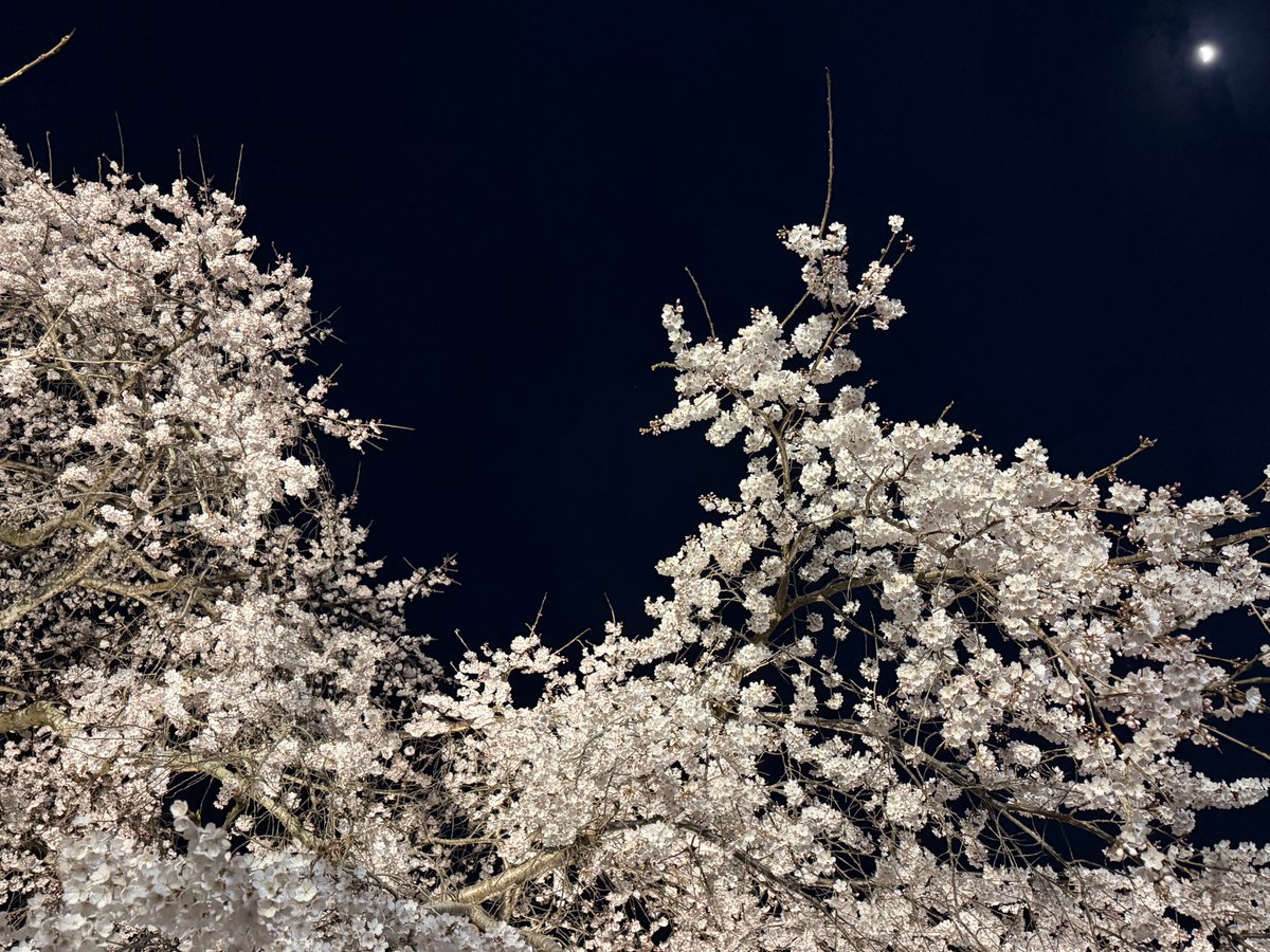 【公式】日田市 tweet media