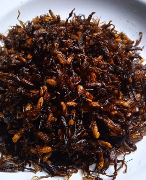 𝐍𝐨𝐳𝐞𝐥⚚ノゼル tweet media