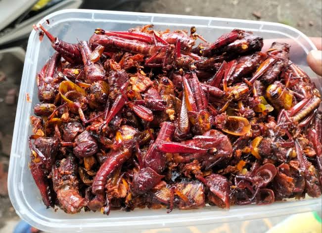 𝐍𝐨𝐳𝐞𝐥⚚ノゼル tweet media