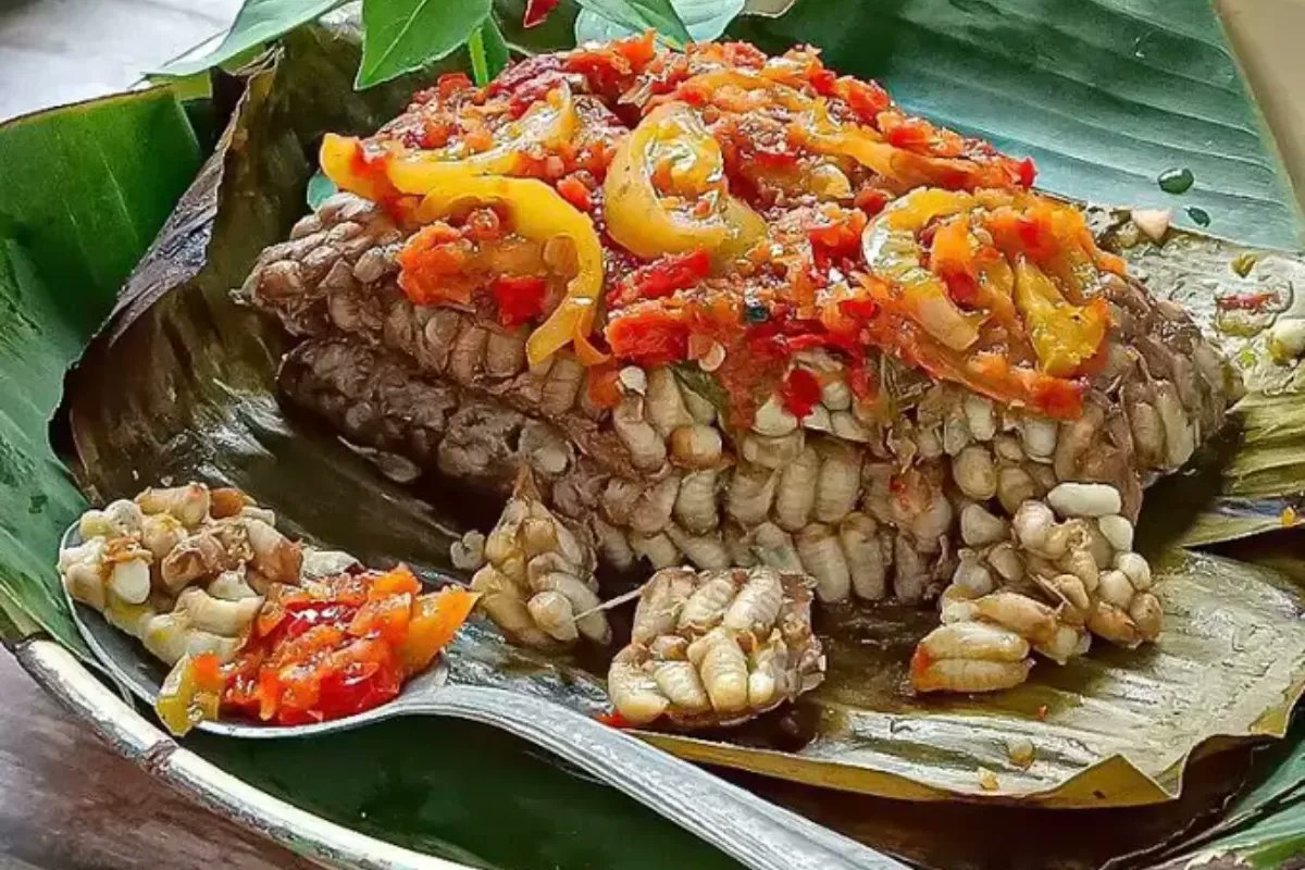 𝐍𝐨𝐳𝐞𝐥⚚ノゼル tweet media