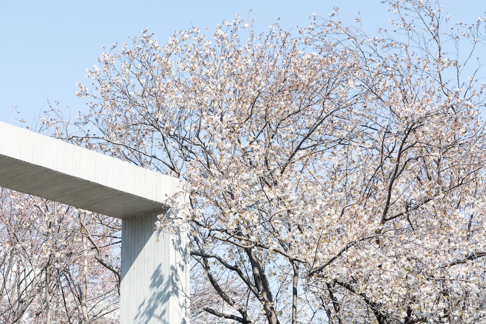 【公式】武蔵野美術大学｜Musashino Art University tweet media