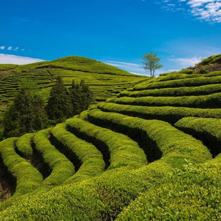 Laura Folci tweet media