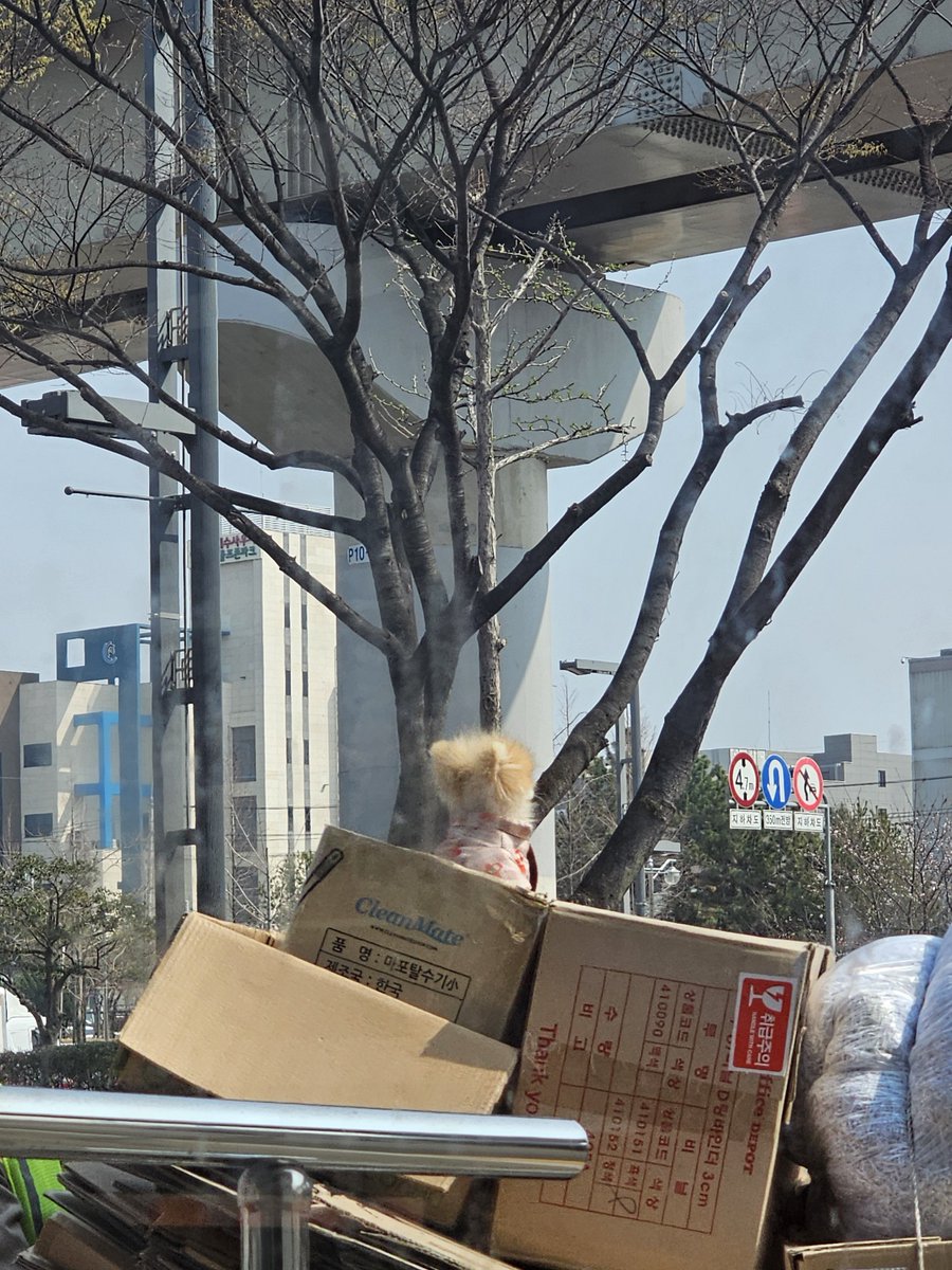 💚코닝コニン💛 tweet media