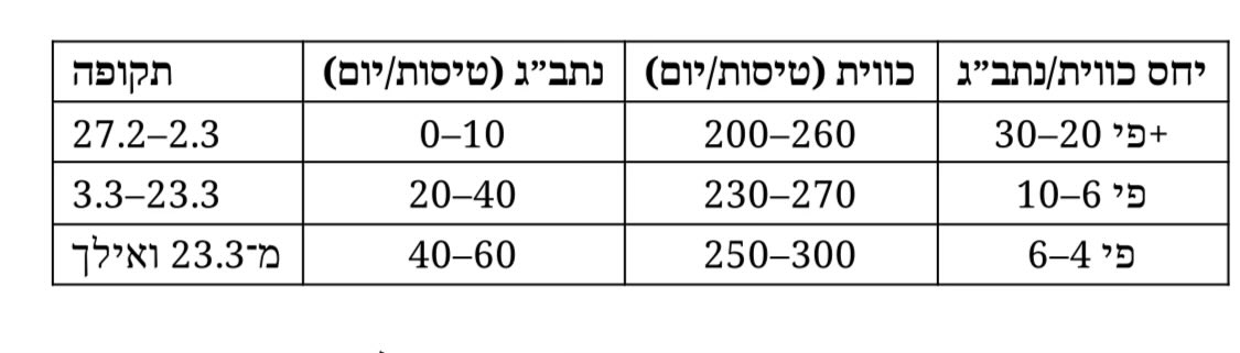 Rock Mada tweet media