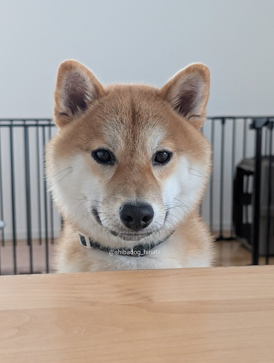 morningscones tweet media