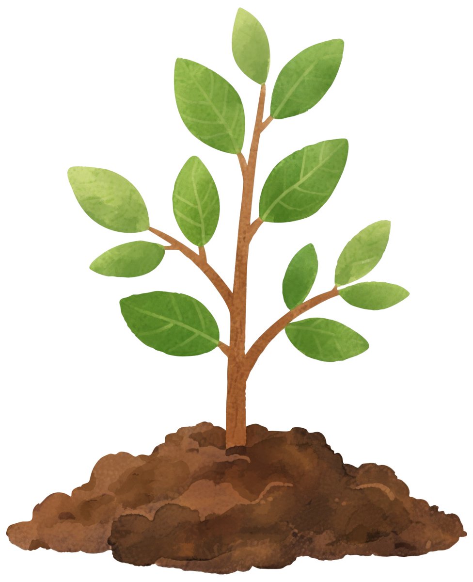 Madeline Matis tweet media