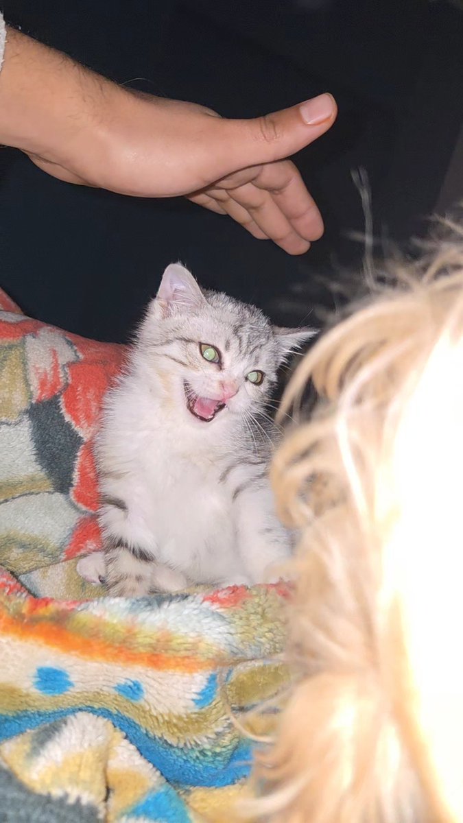 أبو نجيب tweet media