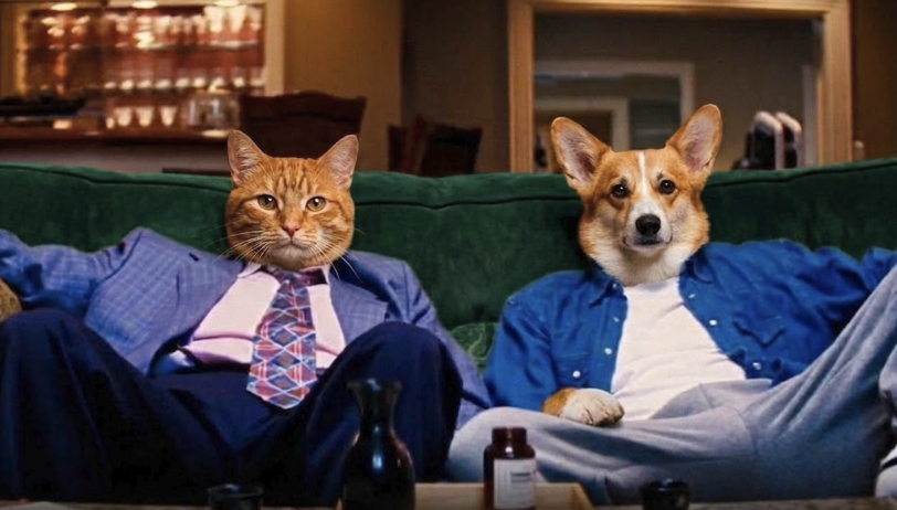 Poloniex Exchange tweet media