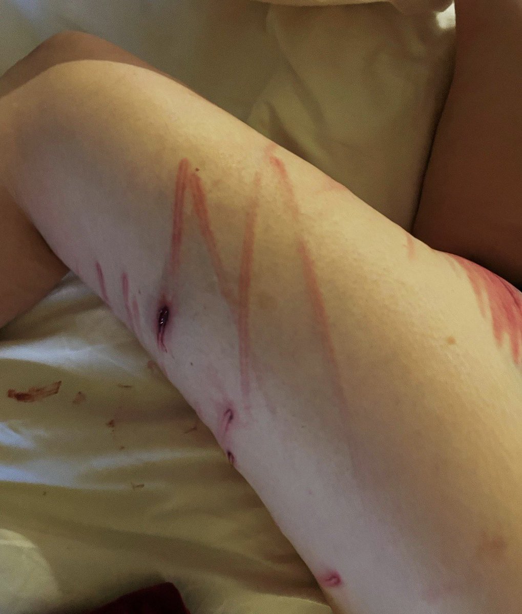 嘮叨的K tweet media