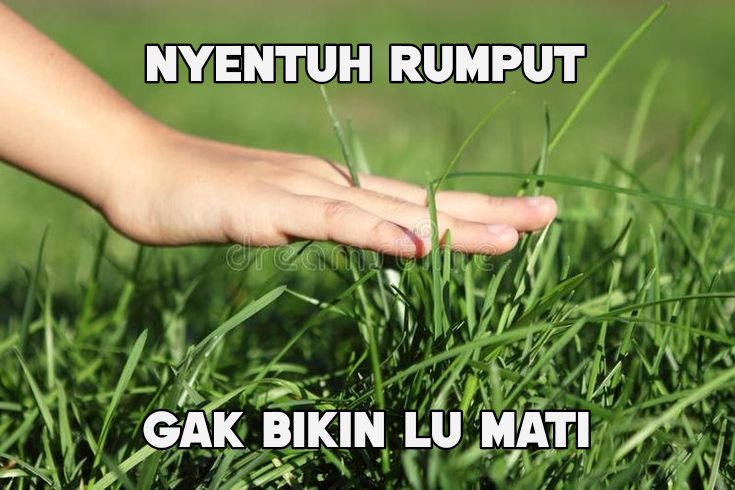 Misu | 🌪️🎵 #1312 tweet media