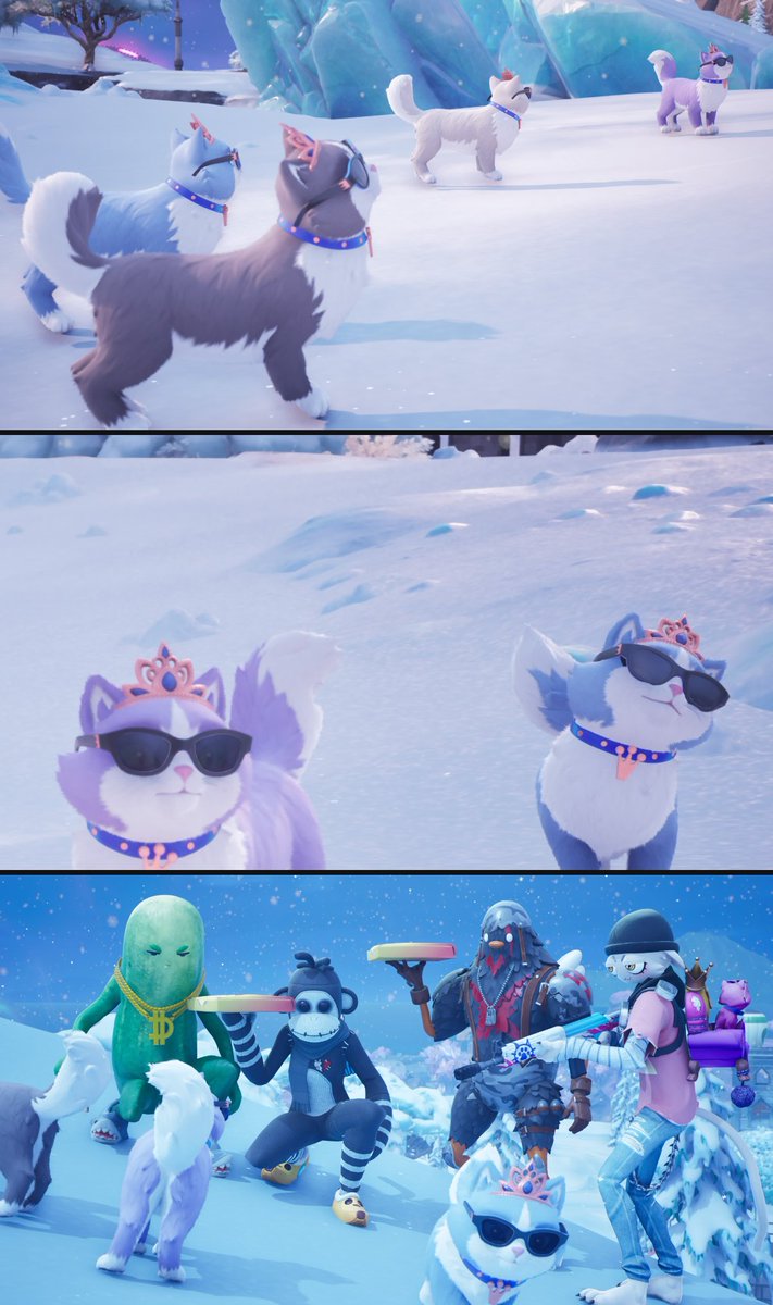 FORTNION🦈 tweet media