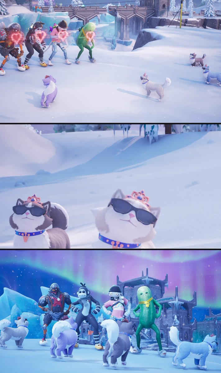 FORTNION🦈 tweet media