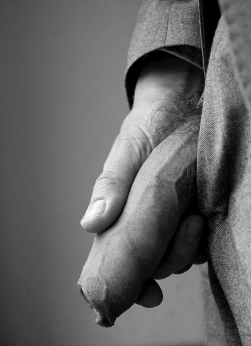 BirdCatcher tweet media