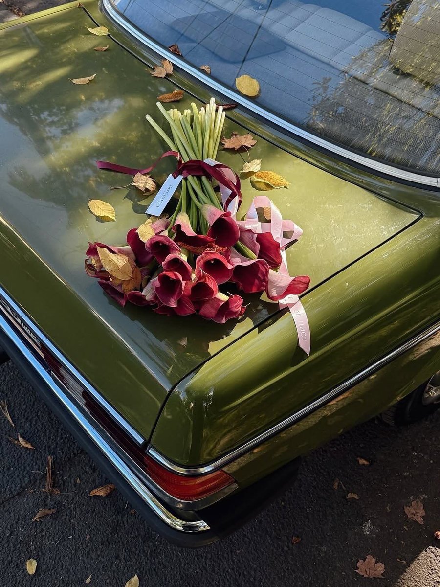 alyssa ⋆.𐙚 ̊ readings open! tweet media