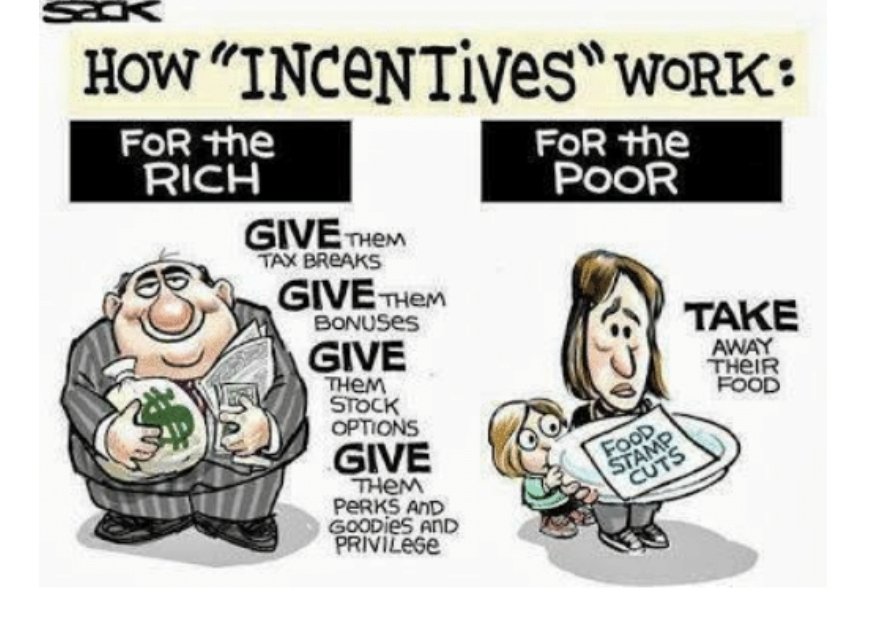 Ginger Edwards 🐛 tweet media