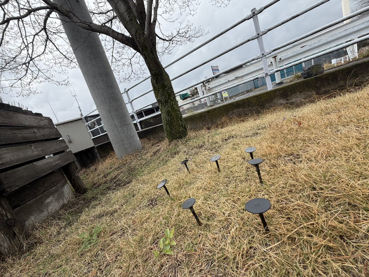 ナオト/ Naoto Tanabe tweet media