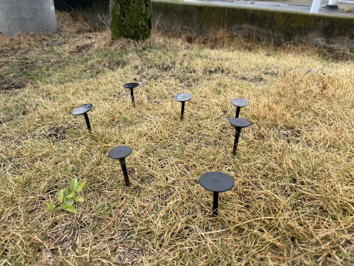 ナオト/ Naoto Tanabe tweet media