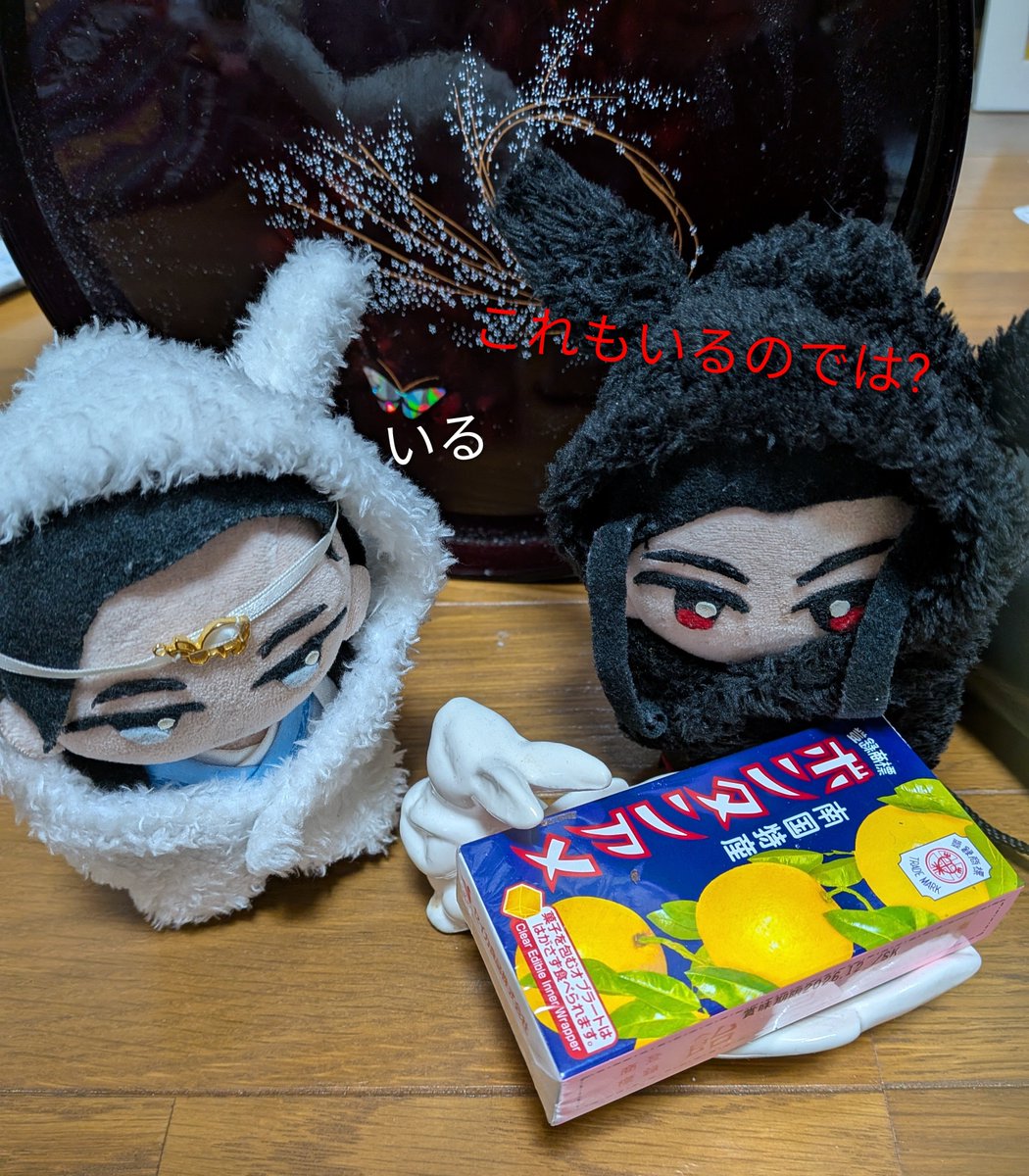 alpha(あるふぁ) tweet media