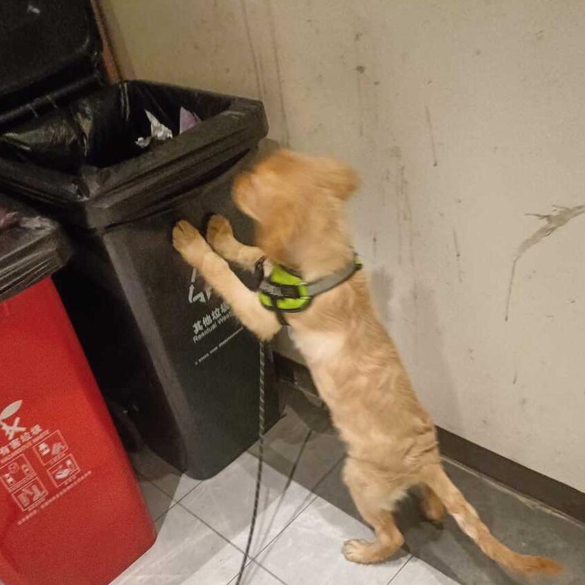 cody frey tweet media