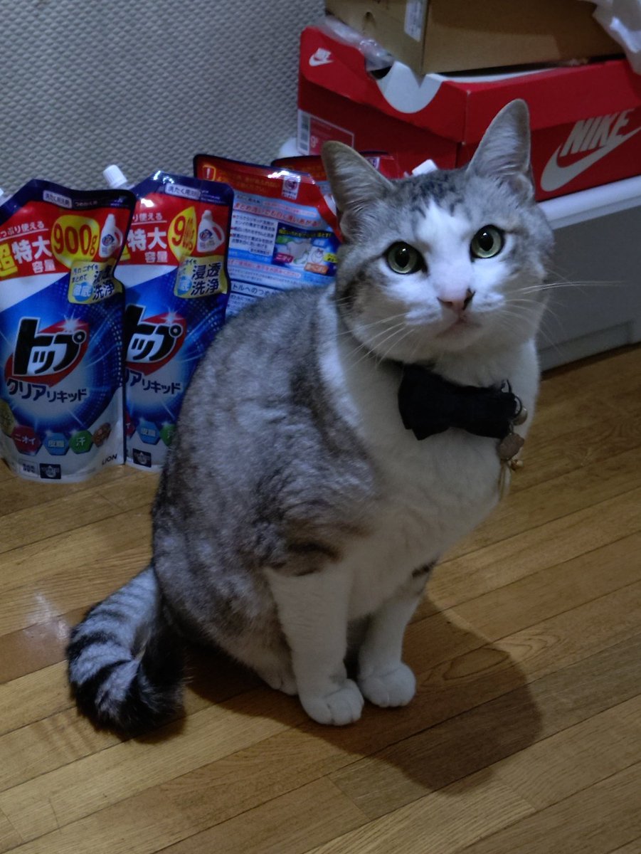 テッツン tweet media