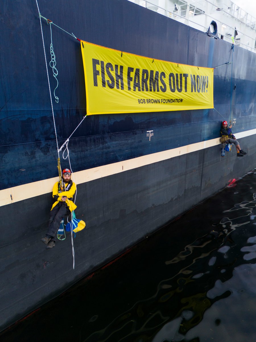 Bob Brown Foundation tweet media