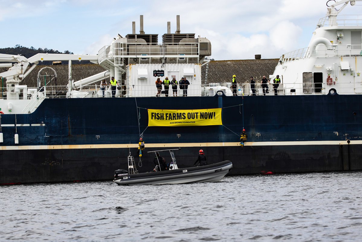 Bob Brown Foundation tweet media