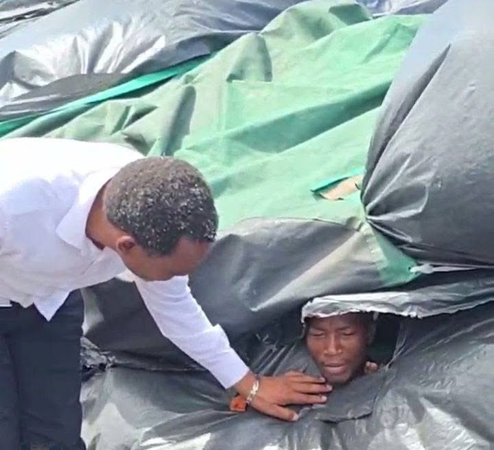 Sibusiso Mankwali tweet media