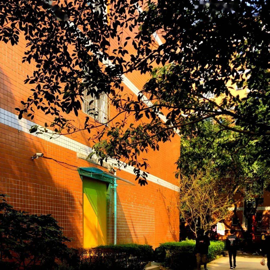 Luis Matías López  tweet media