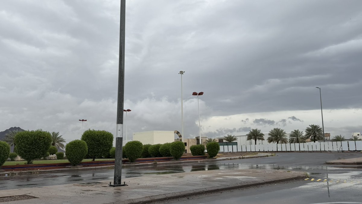 يزيد tweet media