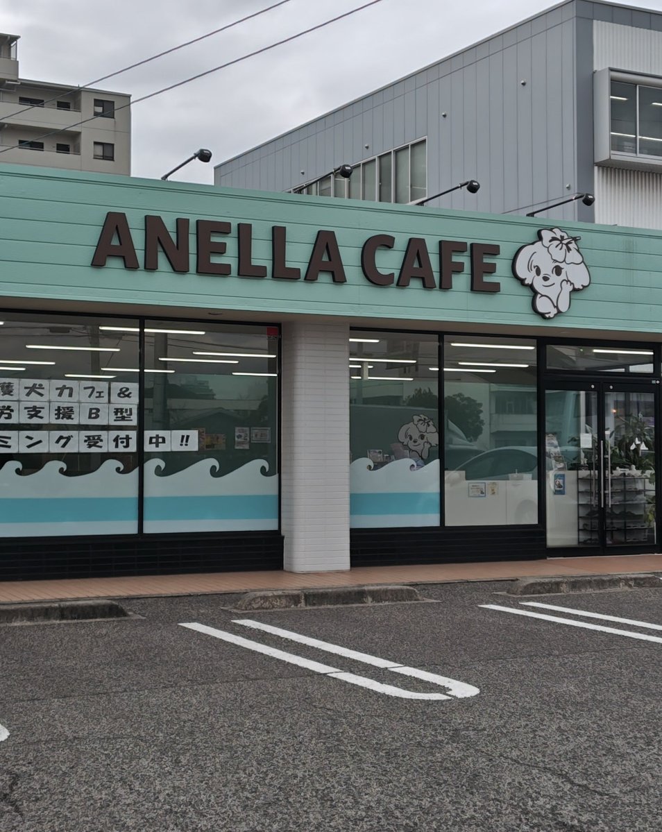 そらまめの家 tweet media