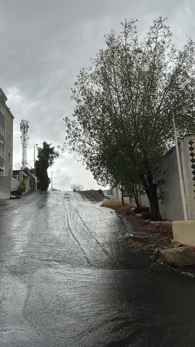 صالح tweet media