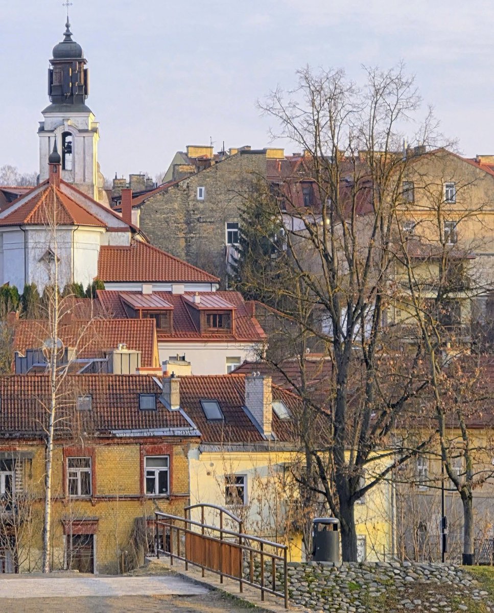 Twee_Papillon's tweet image. #Vilnius mano 💛💚❤️