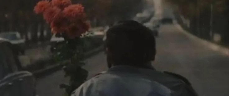 Vincenzo Cassano tweet media