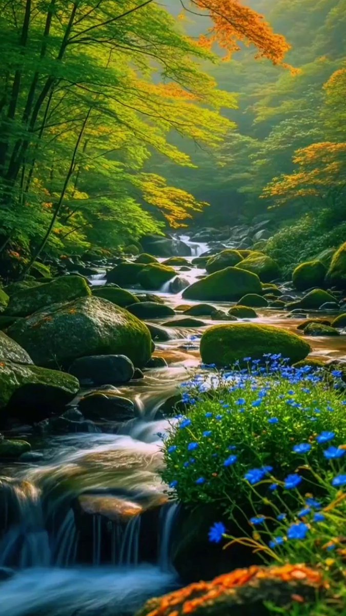 Мария tweet media