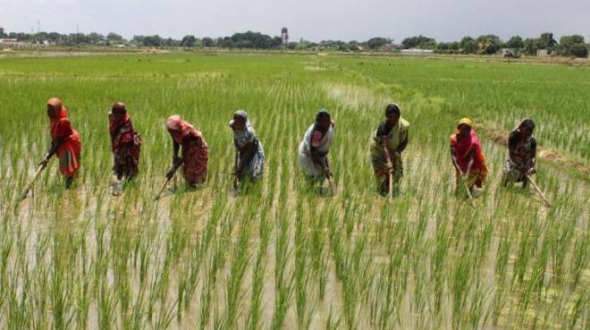 deejite1086's tweet photo. When you eat TODAY, thank a FARMER.
#FarmingIsaBusiness
Photo Credit : @daily_trust https://t.co/LbmDCWcjOI