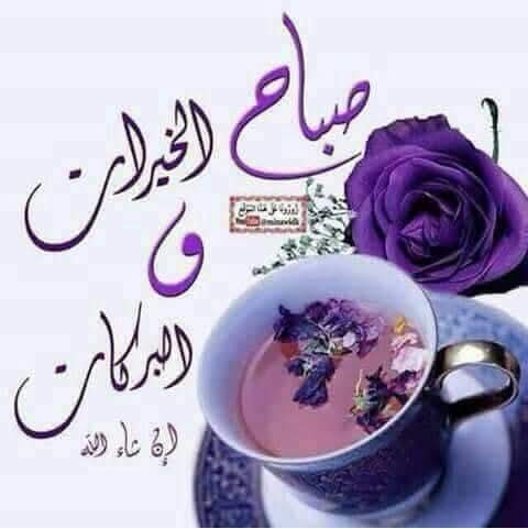 Salem Gomaa/سالم tweet media