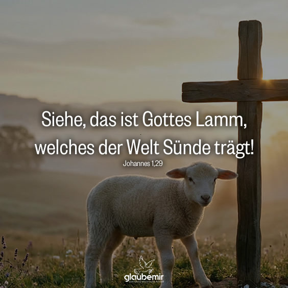 Siehe, das ist Gottes Lamm, welches der Welt Sünde trägt! - Johannes 1,29

#Bibel #Johannes #Bibelvers #ChristlicheSprüche #Glaube #Hoffnung #Bibelzitate