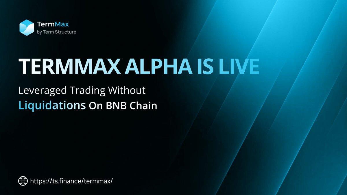 Martin 明进 | 🐬TermMax tweet media