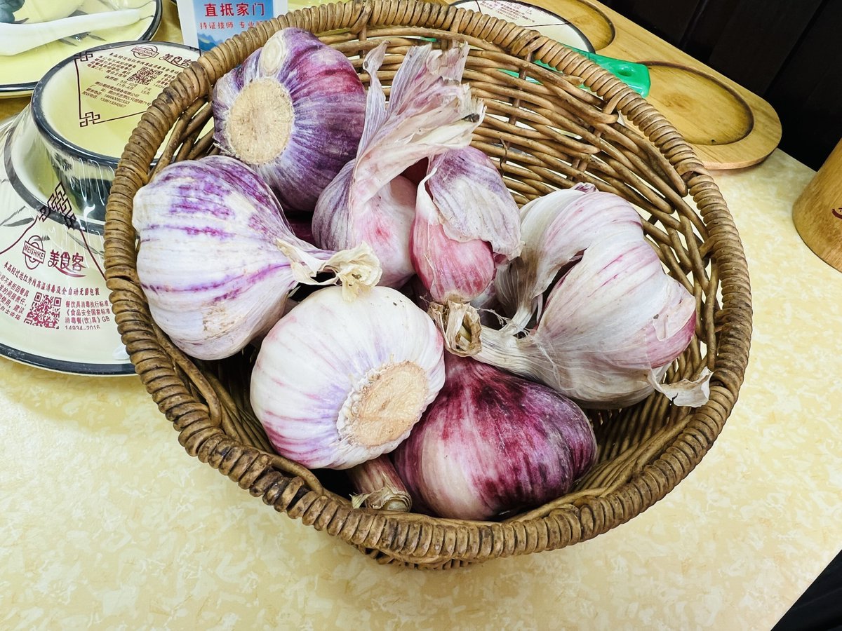 Benjieming的撸毛之旅 tweet media