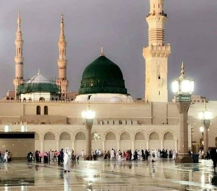 𝚂𝙰𝙽𝙰 𝙷𝙰𝙸𝙳𝙴𝚁 tweet media