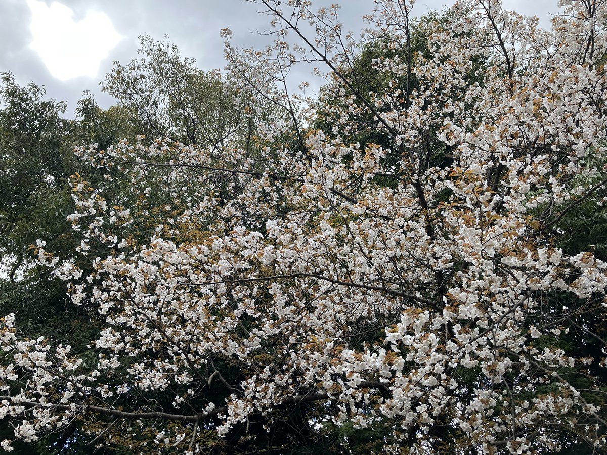 入船山記念館 tweet media