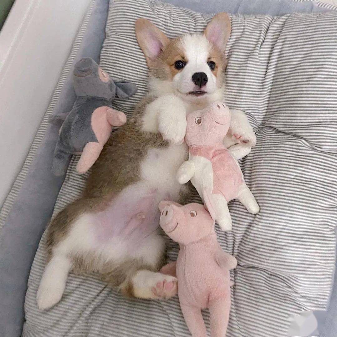 Anderson Tomonaga tweet media