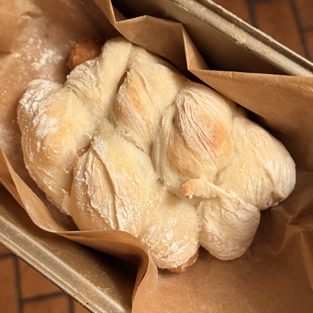 呆萌小鹿鹿 tweet media