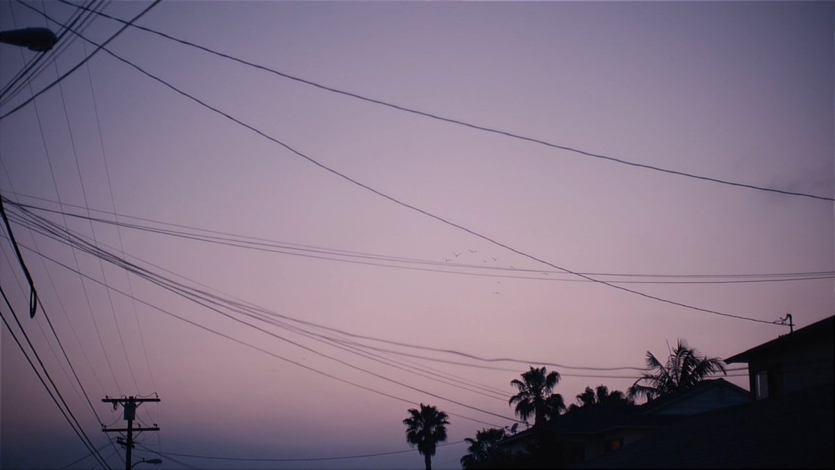 screencaps tweet media