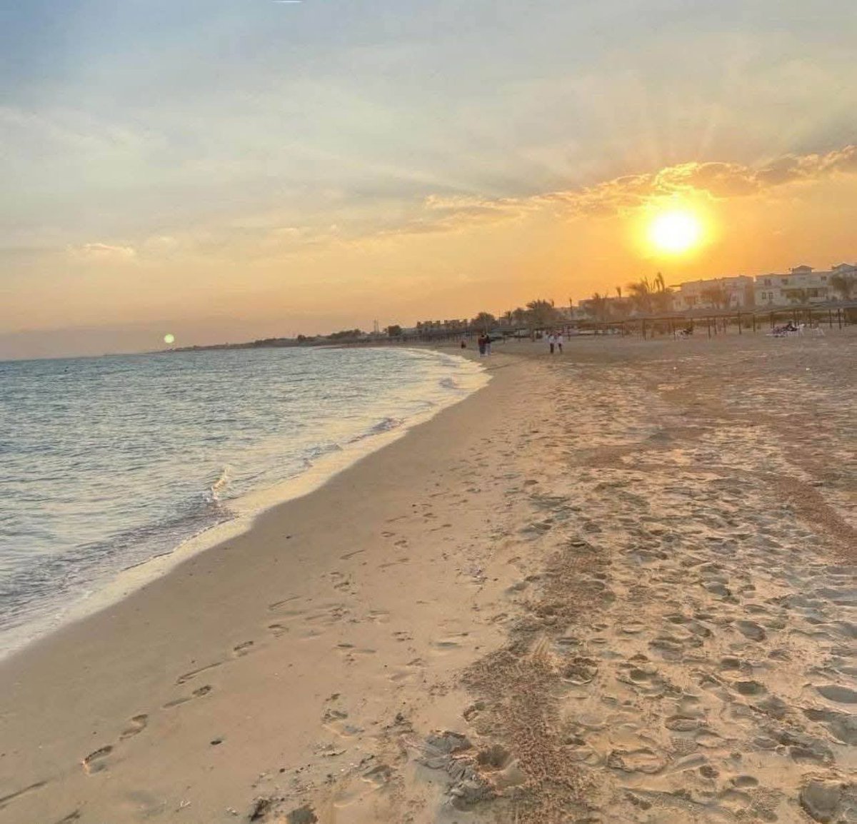 Hala Awd tweet media