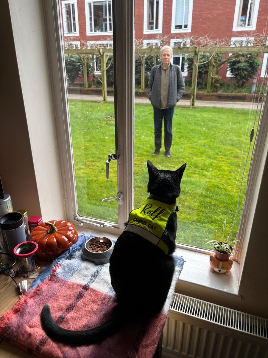 Rolf the University of Warwick Campus Cat tweet media