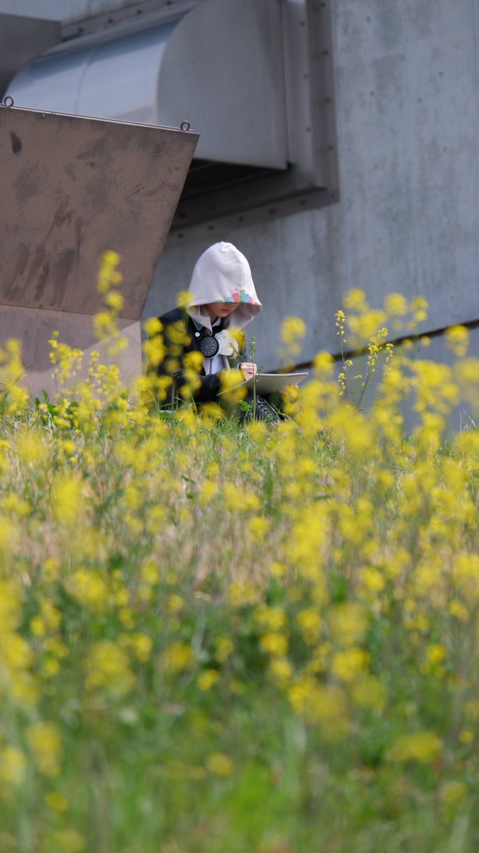 cosplay
wb/桃瀬匠

📷くりはらさん(<a href="/konkuri_kurihar/">くりはら＠⏭5/6ｻｰｸﾙ参加</a>)
#アコスタ堀切
