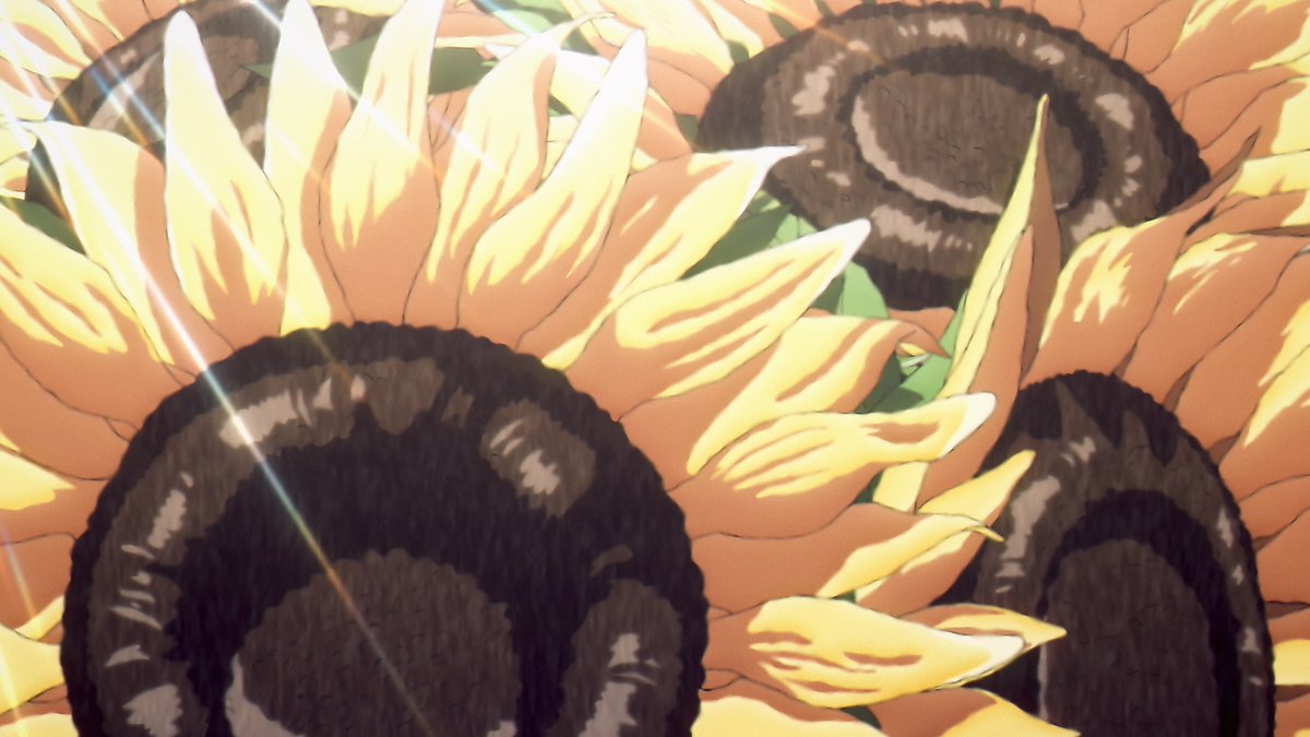 hikaru_anime_en's tweet photo. It's the summer solstice today, the longest day of the year! ☀️
Enjoy the summer!
#TheSummerHikaruDied #Hikanatsu https://t.co/ML992OJREZ