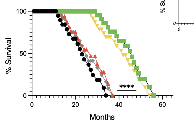 anabology tweet media