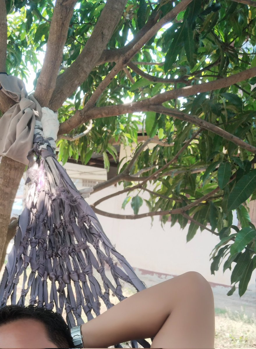 บ่าวอุดร UD tweet media